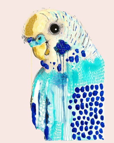 Eatons Hill Hotel - Budgie Paint n Sip - 23 October 6.30pm-8.30pm